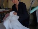 stlani_luzek14_20