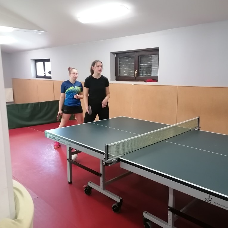 Stolní tenis