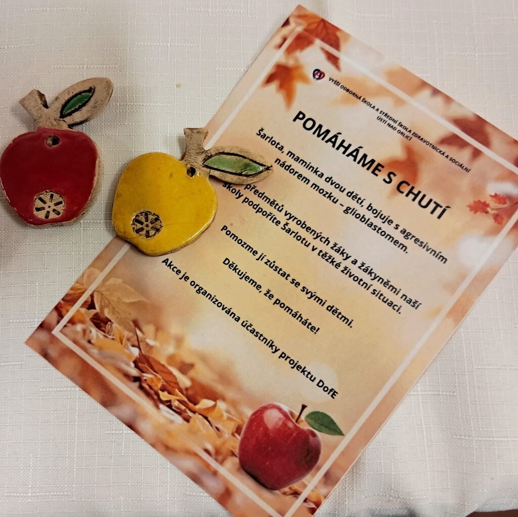 Zdravka pomáhá s chutí – sbírka, která spojuje